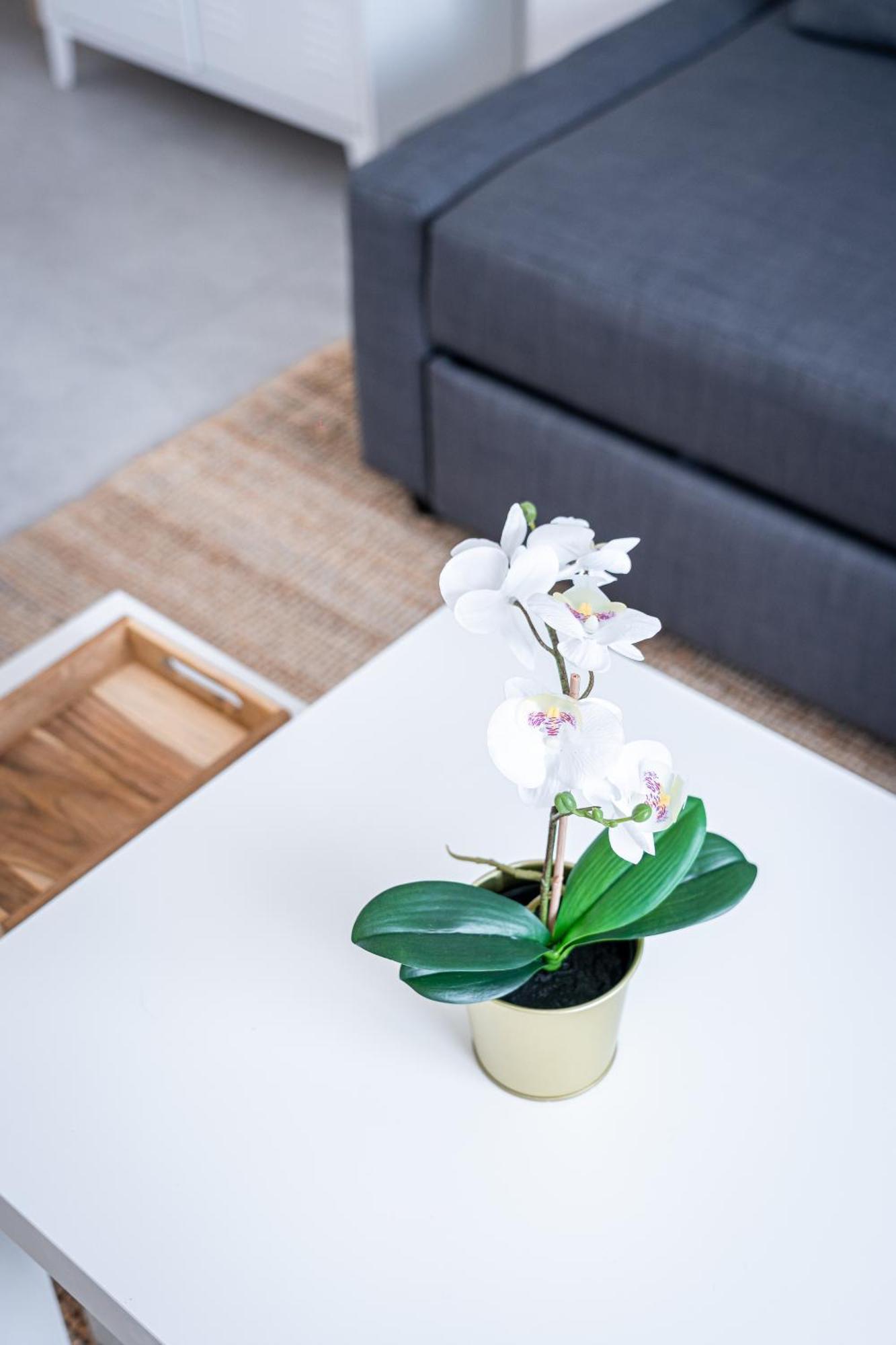 Le Cool Plex Duplex Avec Jardin, Disney 10Mn Esbly Bagian luar foto